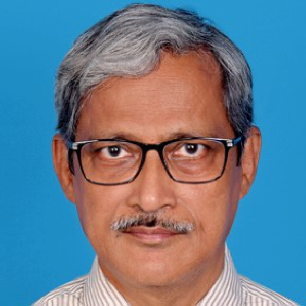 Prof. Dr. Saibal Ray