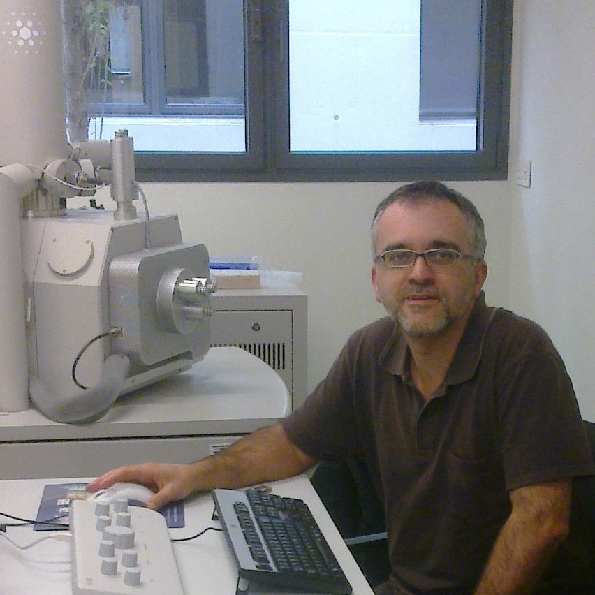 Prof. Dr. Josep Maria Trigo-Rodríguez