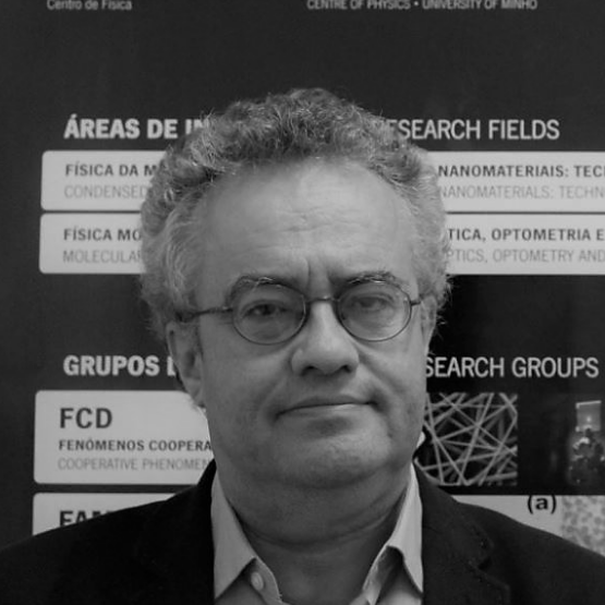 Prof. José Manuel Pereira Carmelo