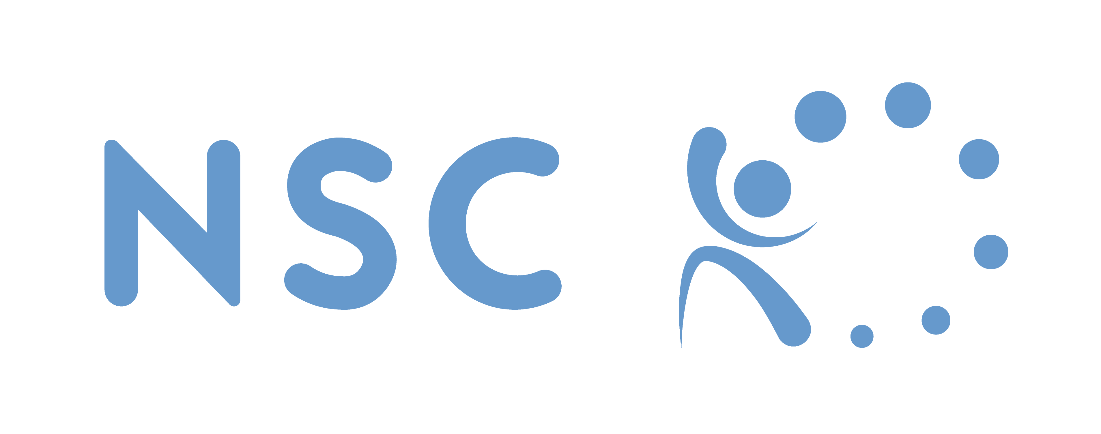 Network for Safety and sustainability of Chemicals and materials (NSC)