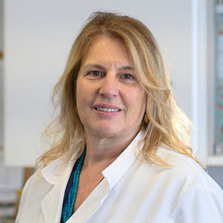 Prof. Dr. Luísa Peixe