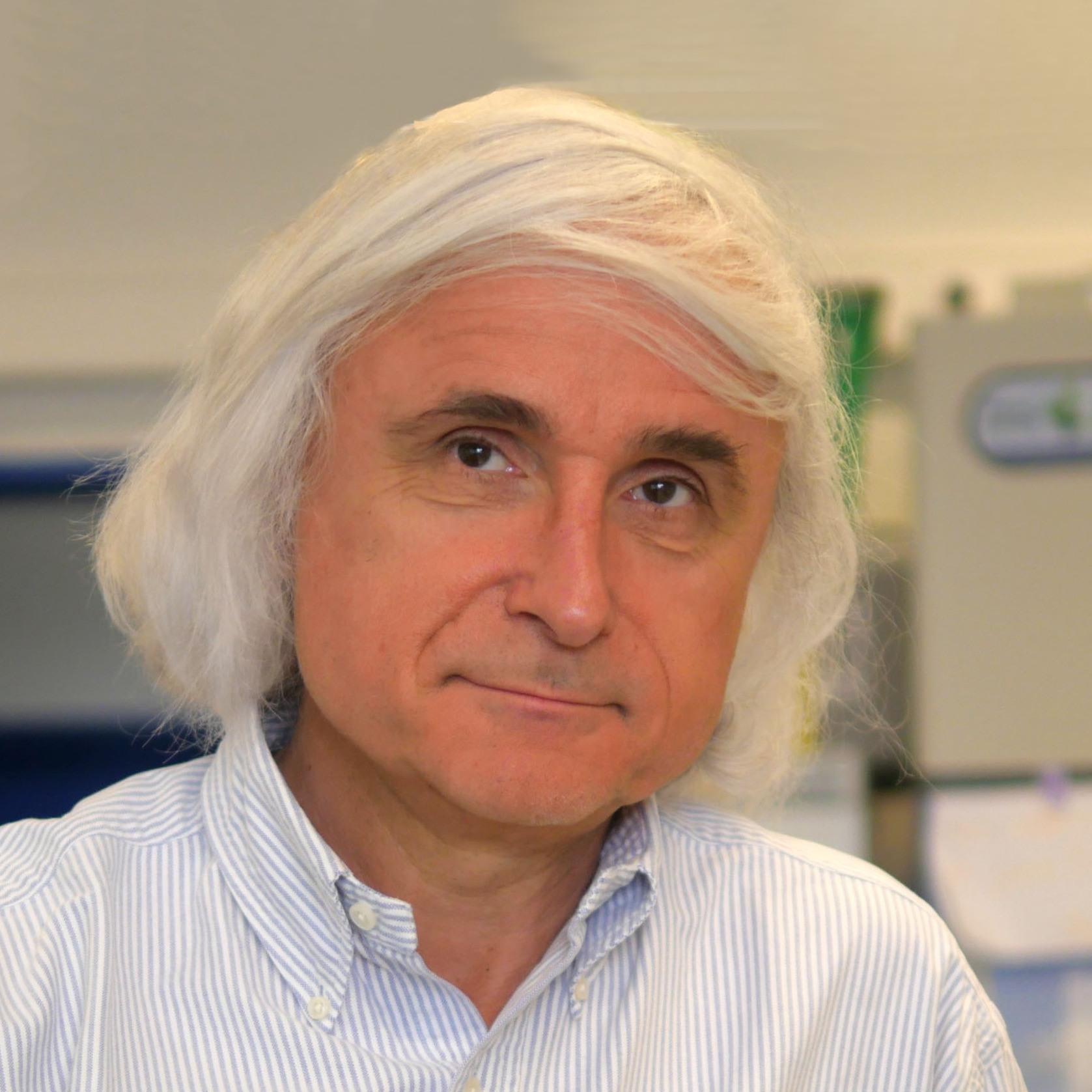 Prof. Dr. Patrice Nordmann
