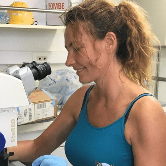 Prof. Dr. Aurélie Tasiemski