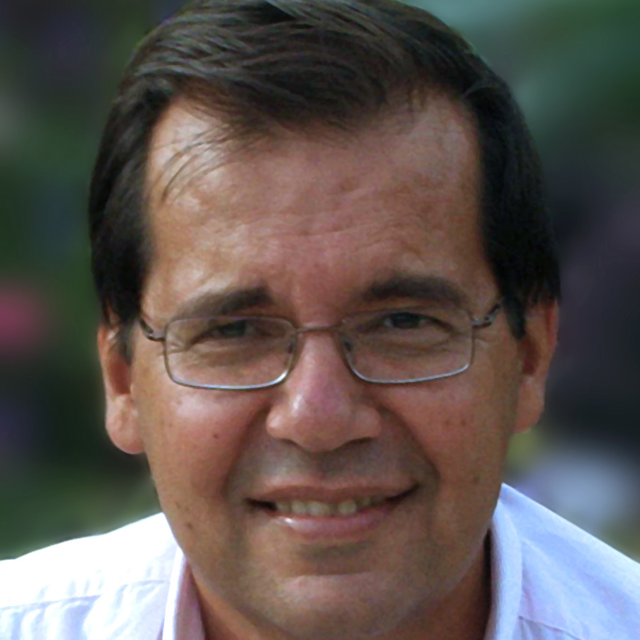 Prof. Dr. Andreas G. Boudouvis