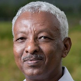 Dr. Abdelbagi M Ismail