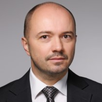 Prof. Dr. Wojciech Sumelka