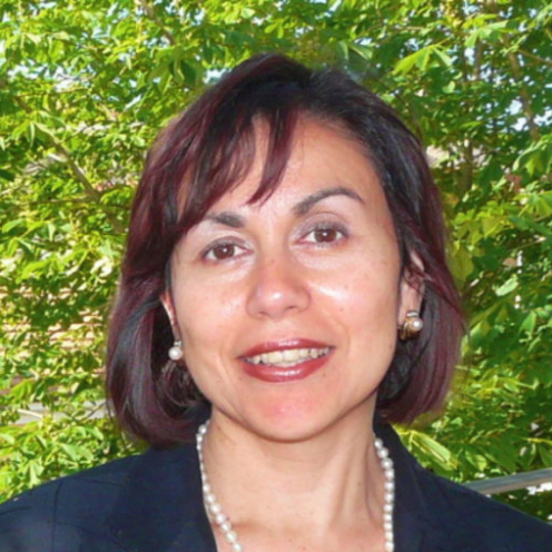 Prof. Dr. Dominique Persano Adorno