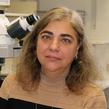 Dr. Célia Ventura