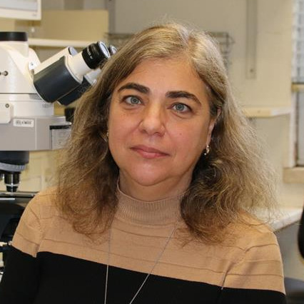 Dr. Célia Ventura