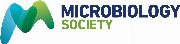 Microbiology Society