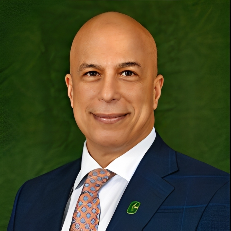 Prof. Dr. Ahmed R. El-Ghannam