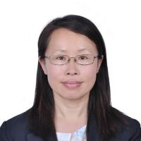 Prof. Dr. Hongbo Zhang