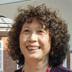 Prof. Xiaohong Gao