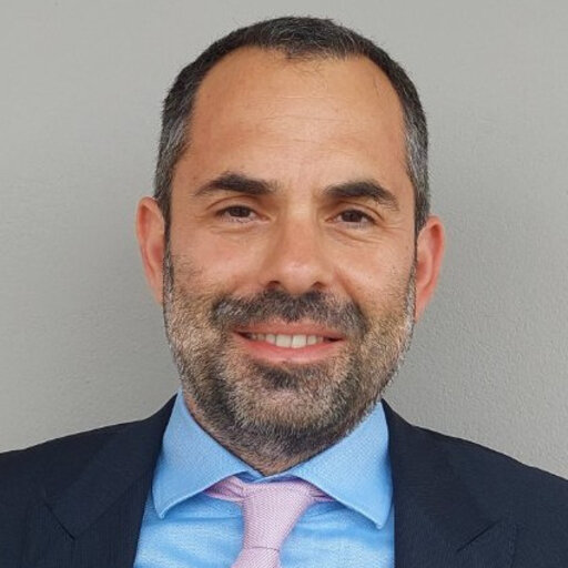 Prof. Dr. Petros S. Bithas