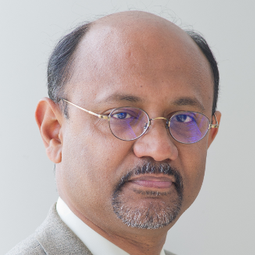 Prof. Dr. Rajib Shaw