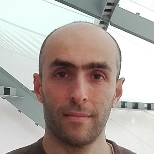 Prof. Dr. Daniele Zulli