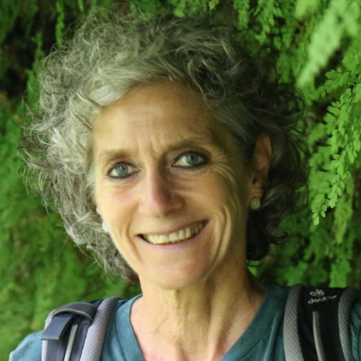 Prof. Anne van den Broeke