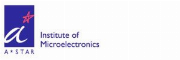 Institute of Microelectronics