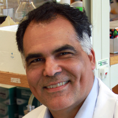 Prof. Dr. Carlos S. Moreno