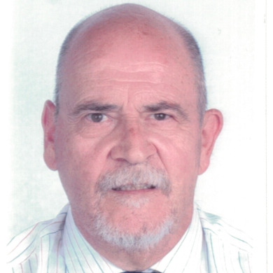 Prof. Dr. Daniele Ritelli