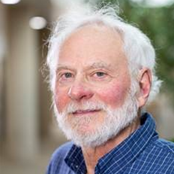 Prof. Dr. Steve Scheiner