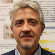 Prof. Alessio Cimmino