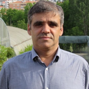 Prof. Dr. Manuel Ângelo Rosa Rodrigues