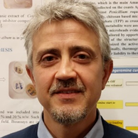 Prof. Alessio Cimmino