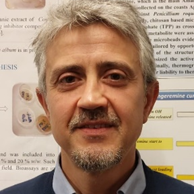 Prof. Alessio Cimmino