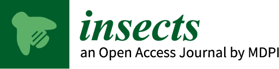 Insects