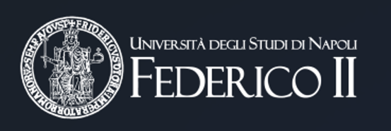 The University of Naples Federico II