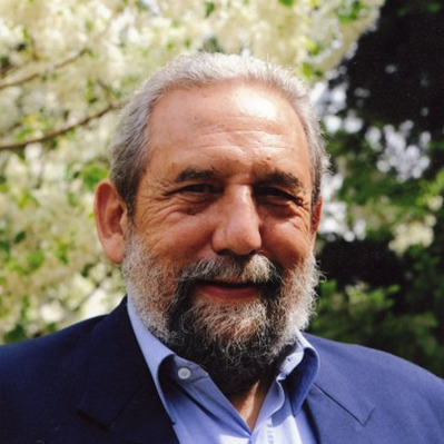 Prof. Dr. Luis Santos Pereira