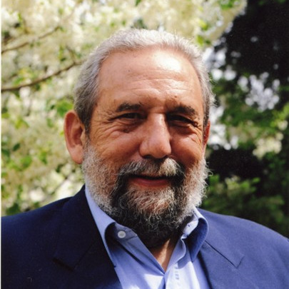 Prof. Dr. Luis Santos Pereira