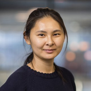 Prof. Dr. Danqing Liu