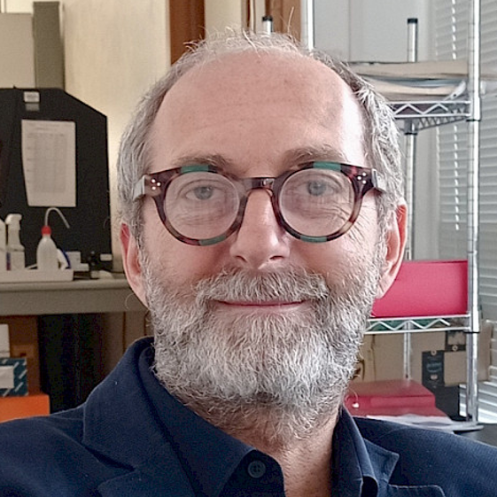 Prof. Dr. Alessandro De Luca