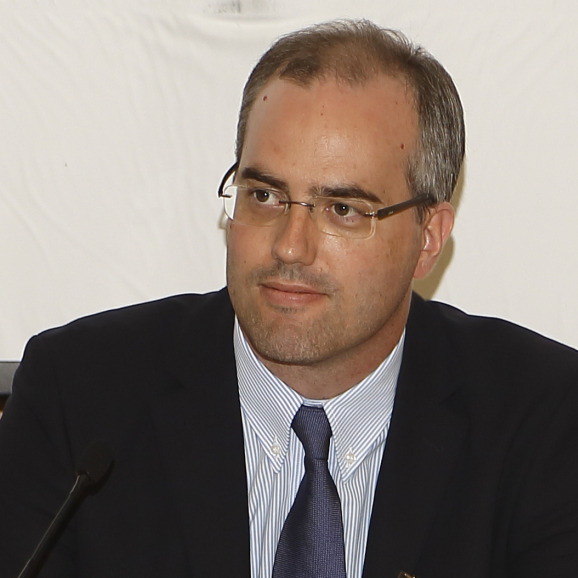 Prof. Dr. Giulio Timelli