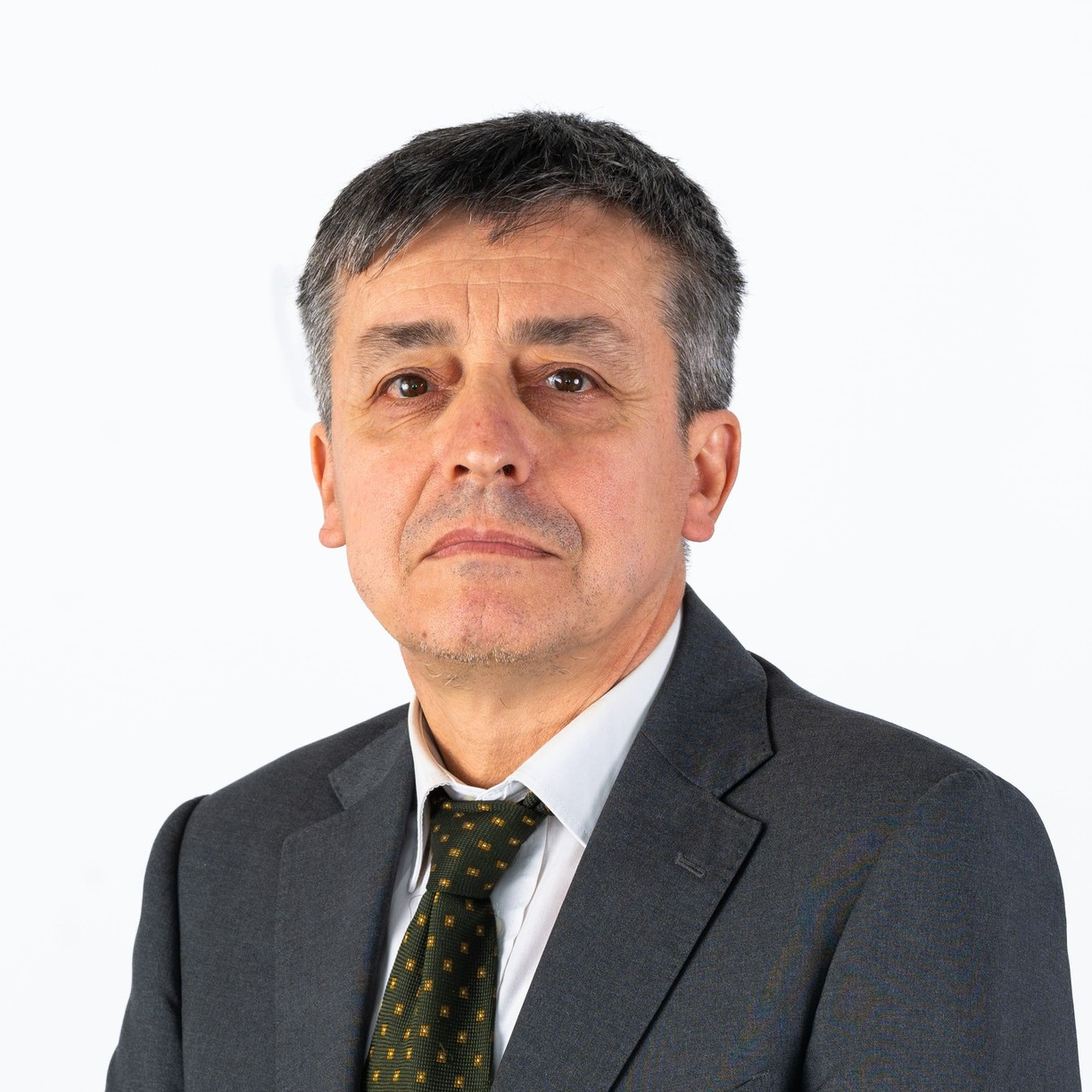 Prof. Dr. Maurizio Vedani