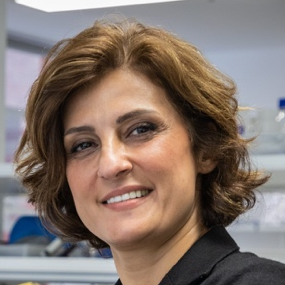 Dr. Shadi Houshyar