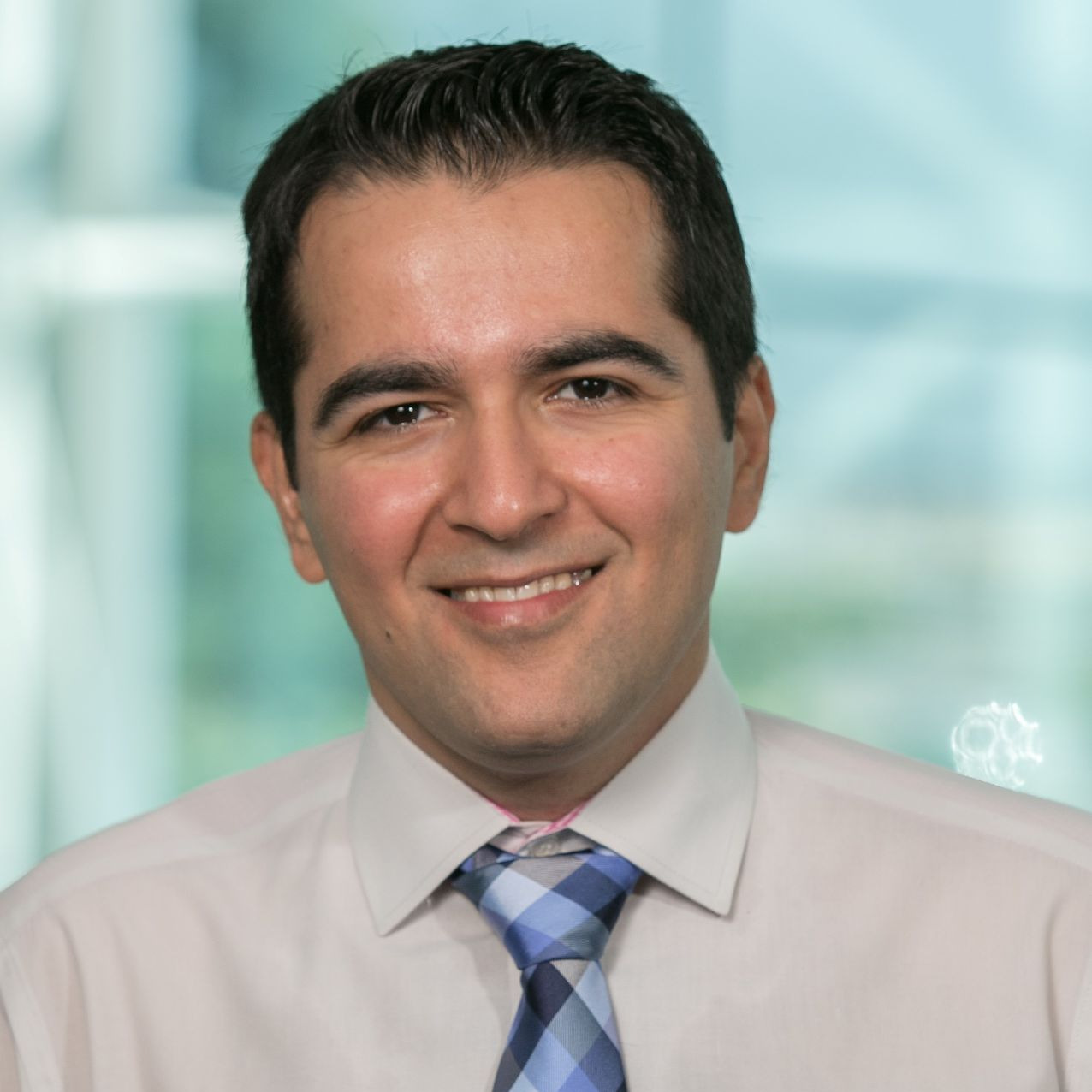 Prof. Dr. Amir H. Gandomi