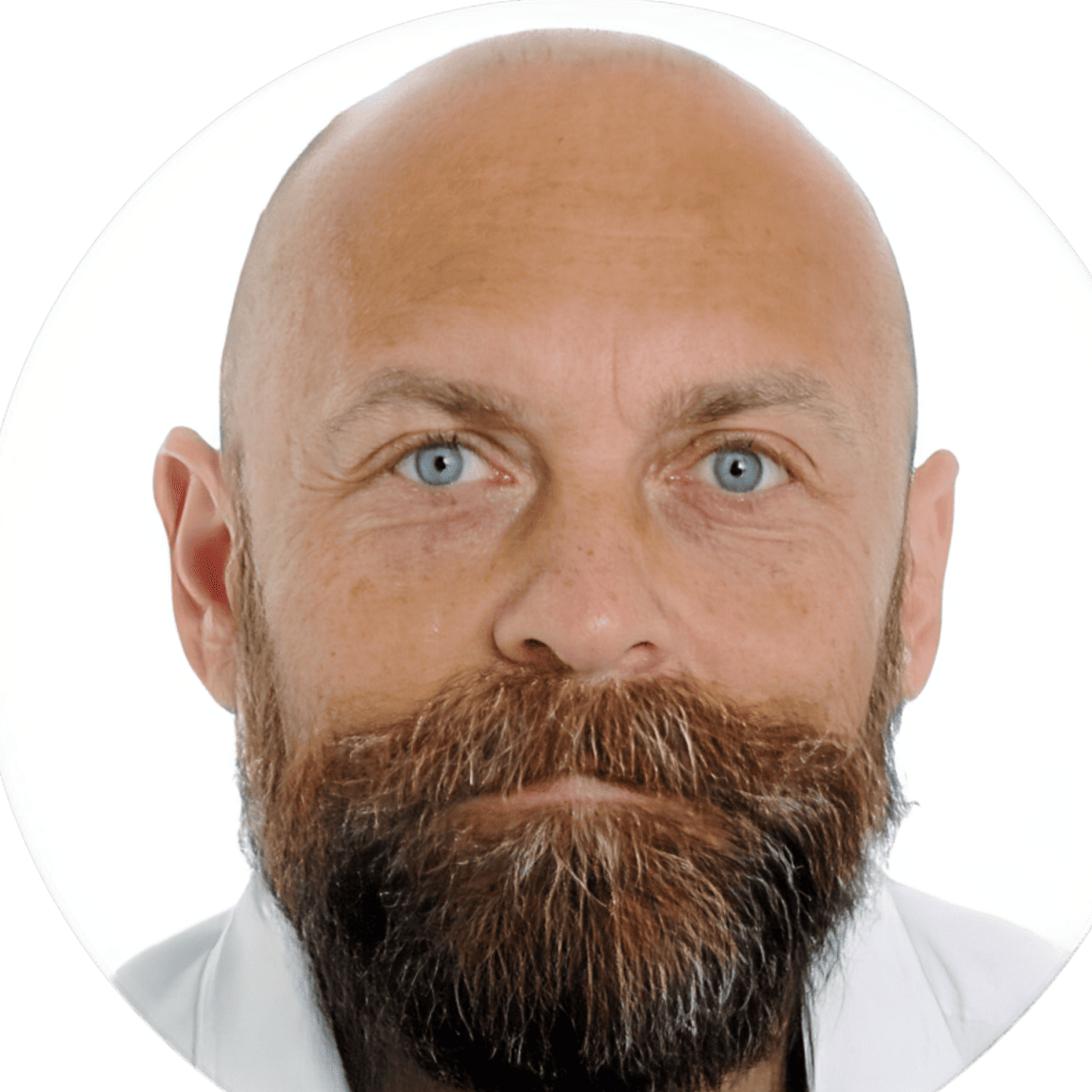 Prof. Dr. Stefano Mariani