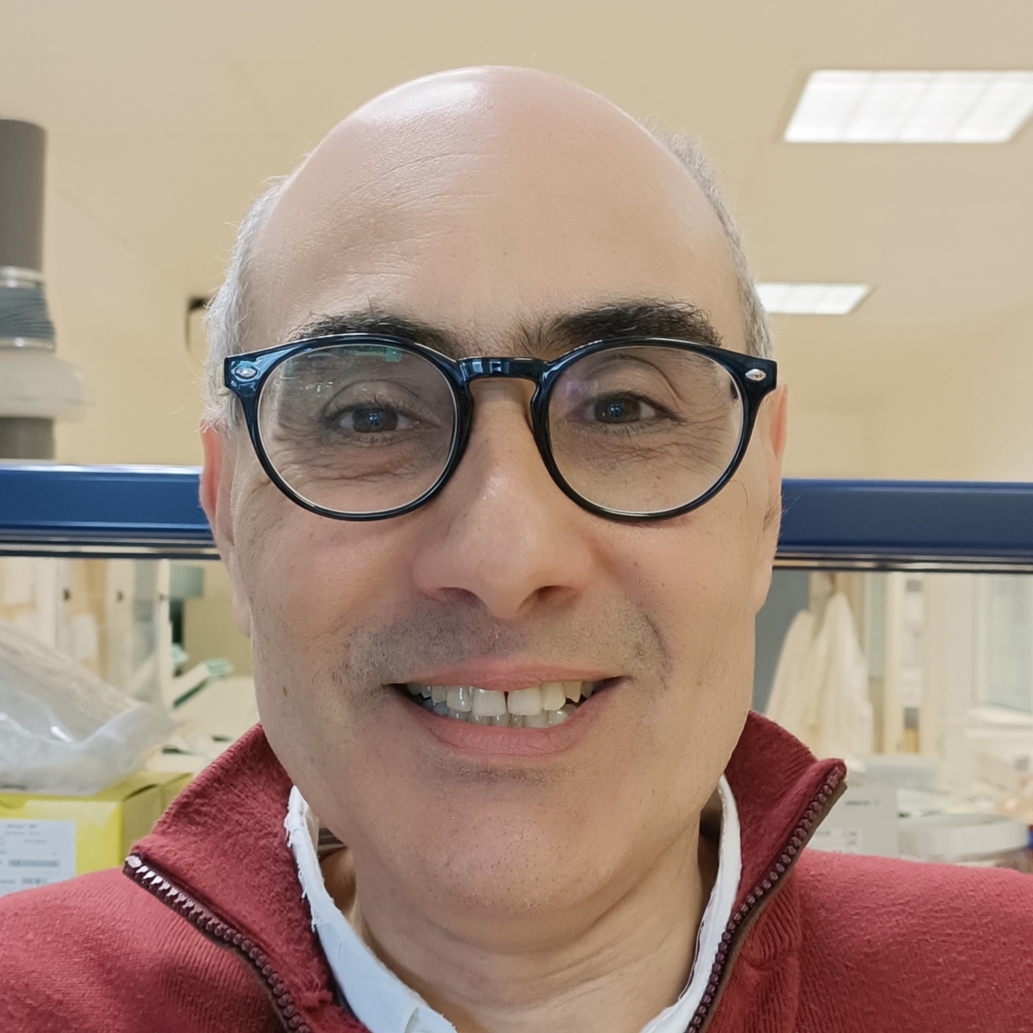 Dr. Paulo Vale
