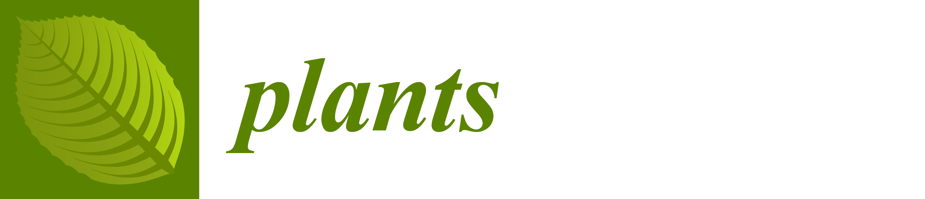 Plants