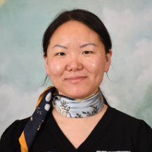 Dr. Lihua Lou