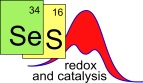 SeS redox & catalysis