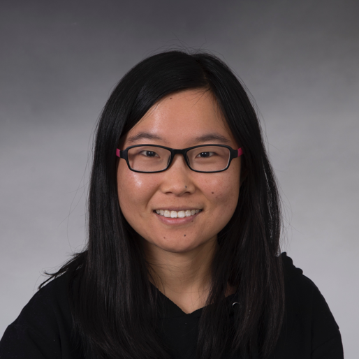 Dr. Wenxian Li