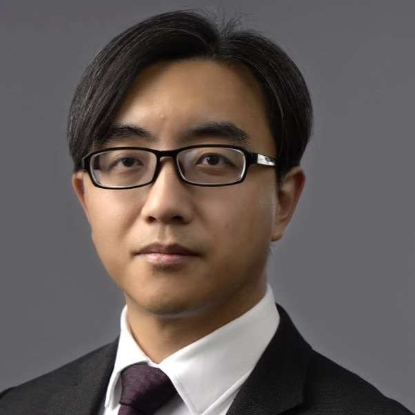Prof. Dr. Hongyan Ma