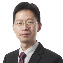 Prof. Tao Chen