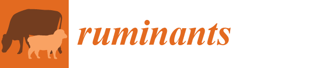 Ruminants