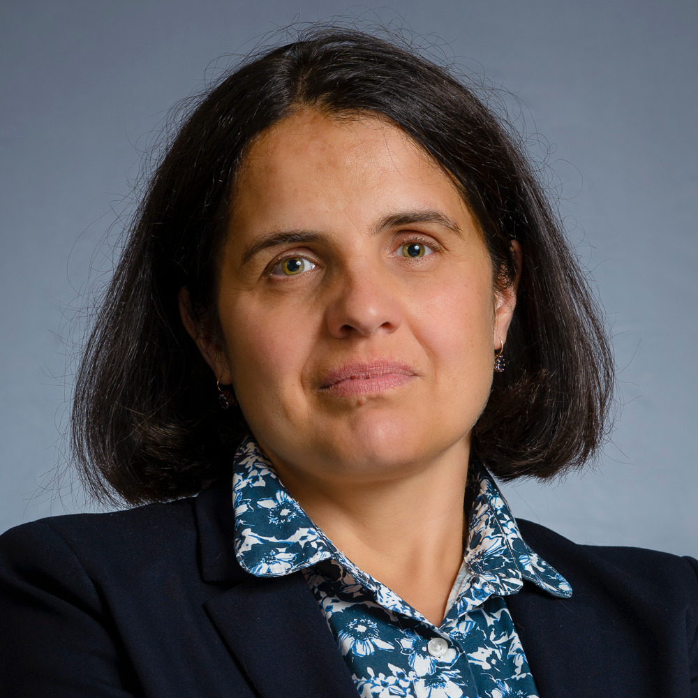 Prof. Dr. Agnieszka  Królicka