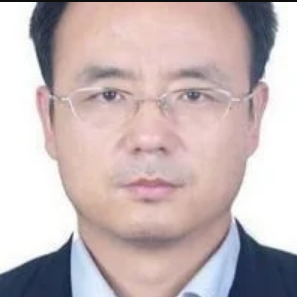 Prof. Dr. Ying Zhao